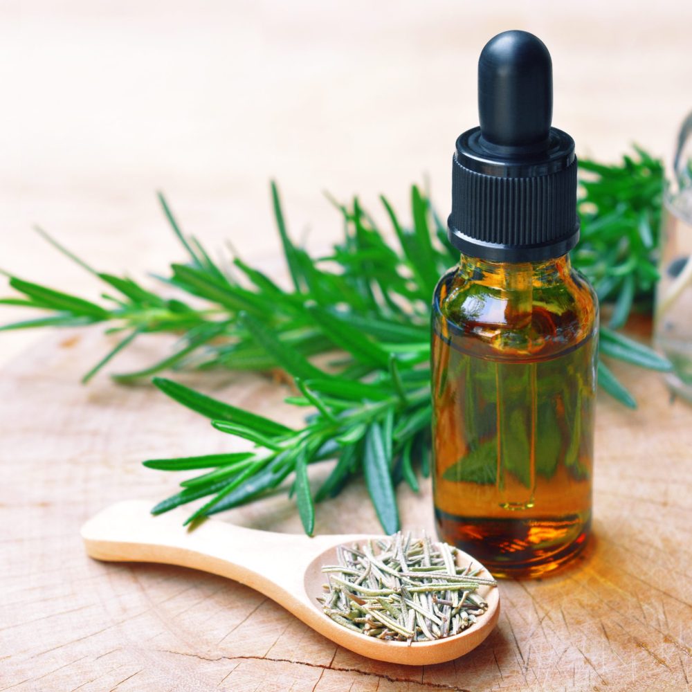 a bottle of rosemary aromatherapy oil extract with fresh and dried rosemary leaf on wooden spoon.